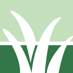 Organic Lawn Treatment