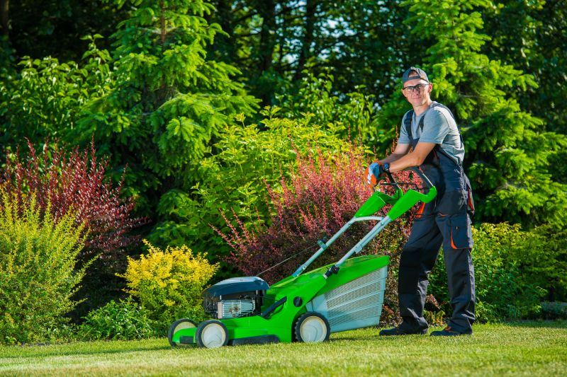 Increase Your Organic Lawn Treatment Business with an AI Driven, Targeted Website