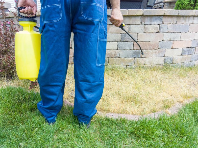 Organic Lawn Treatment Options and Insights