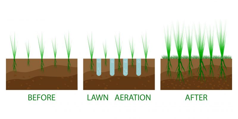 Organic Lawn Treatment