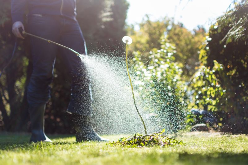 Organic Lawn Treatment