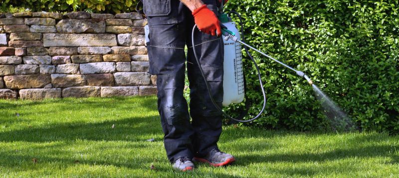 Organic Lawn Treatment Costs — Cost of Organic Lawn Treatment