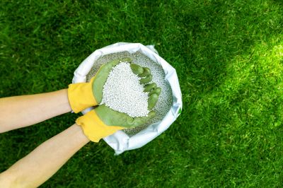 Natural Fertilizers for Lawns