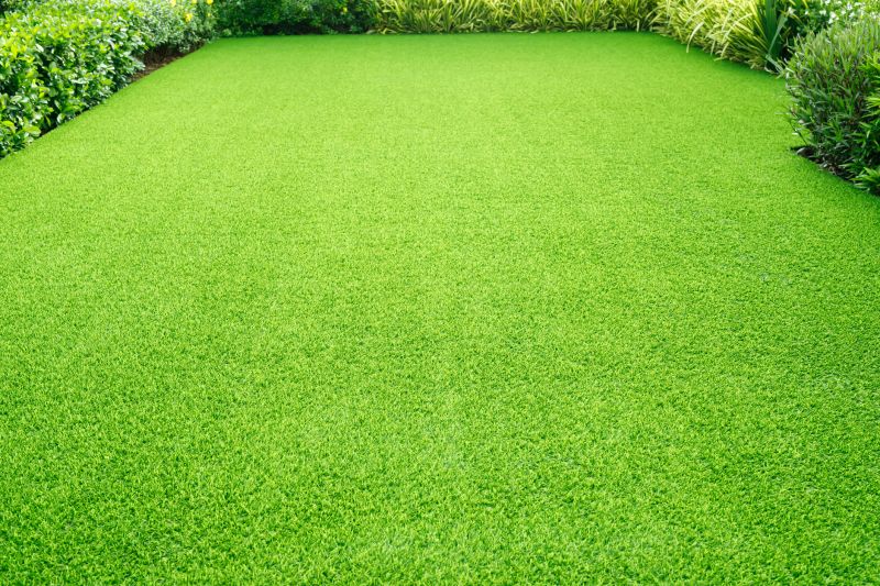 Healthy Lawn After Organic Treatment