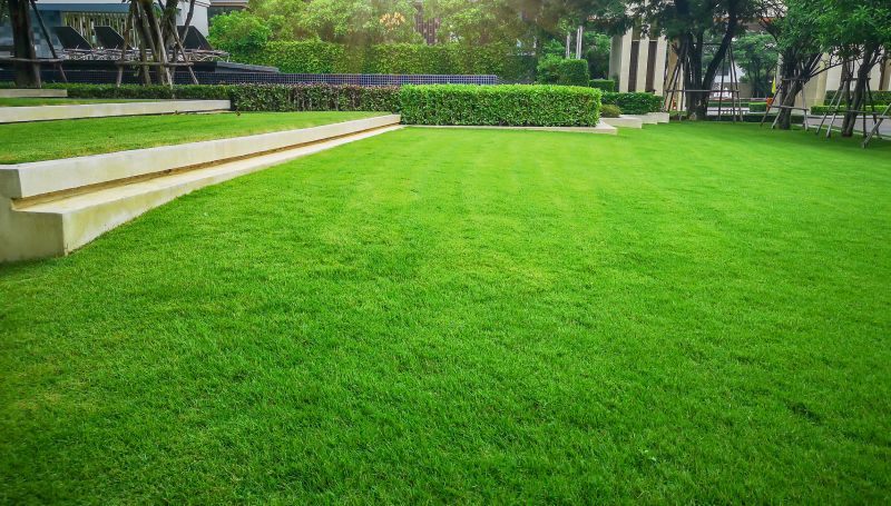 Well-Maintained Organic Lawn