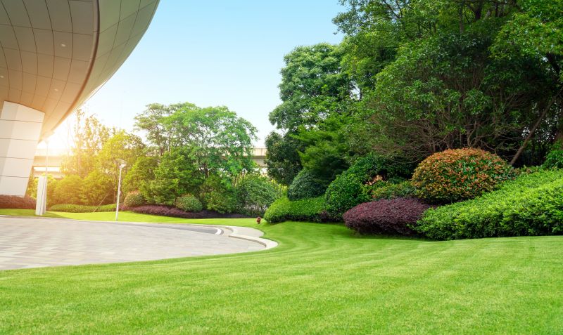 Full-Service Landscaping Companies